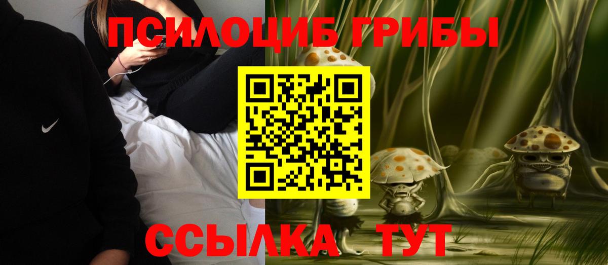 Галлюциногенные грибы Psilocybe Мирный